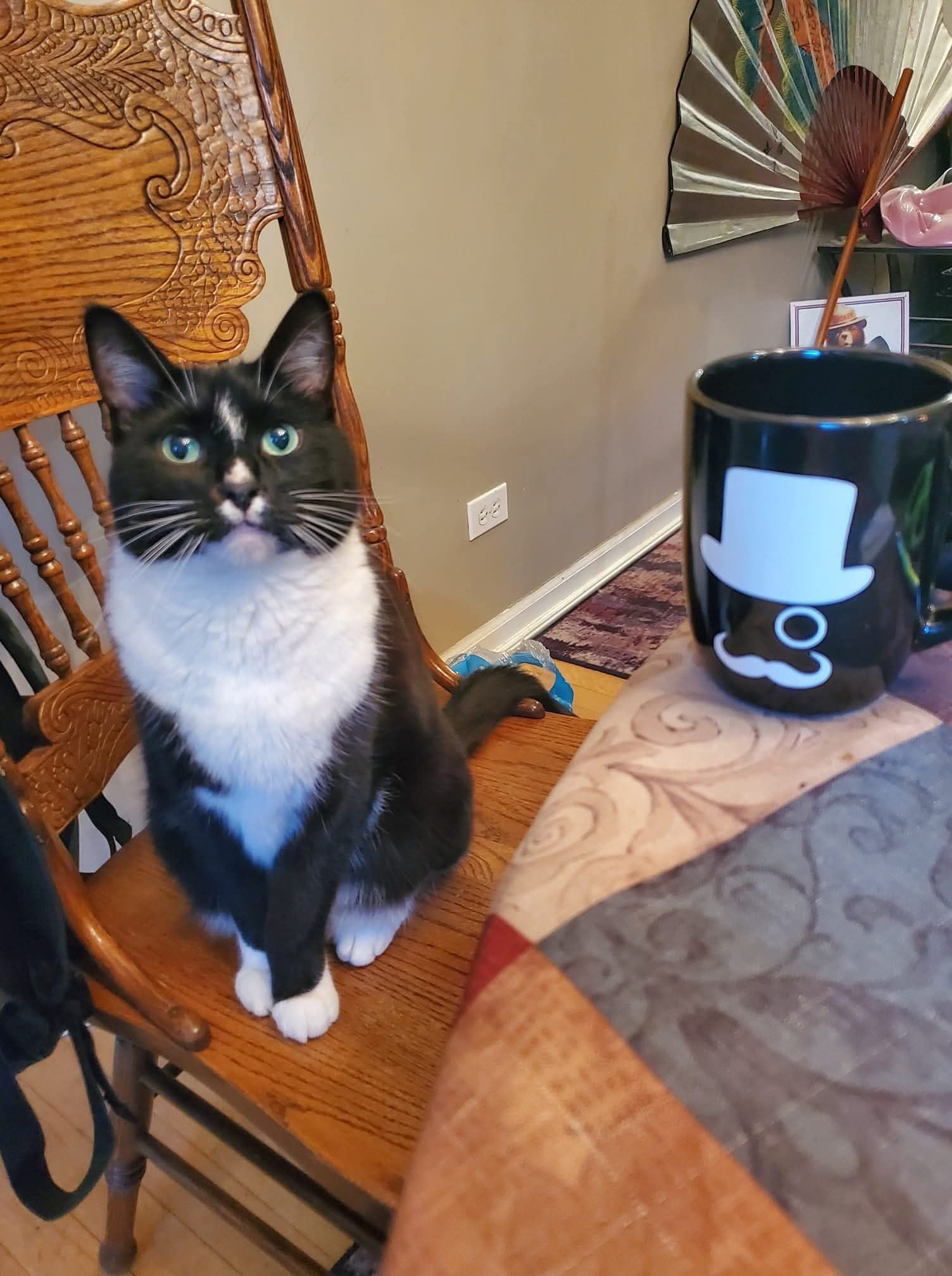 Ca$h, the owner's tuxedo cat, perched on a chair beside a Mr. CBD Chicago top-hat mug